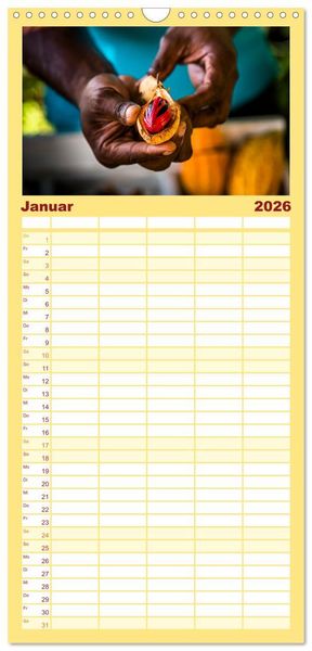 Produktbild: Familienplaner 2026 - Fr&uuml;chte der Karibik mit 5 Spalten (Wandkalender, 21 x 45 cm) CALVENDO