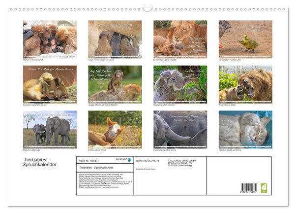 Produktbild: Tierbabies - Spruchkalender (Wandkalender 2026 DIN A2 quer), CALVENDO Monatskalender