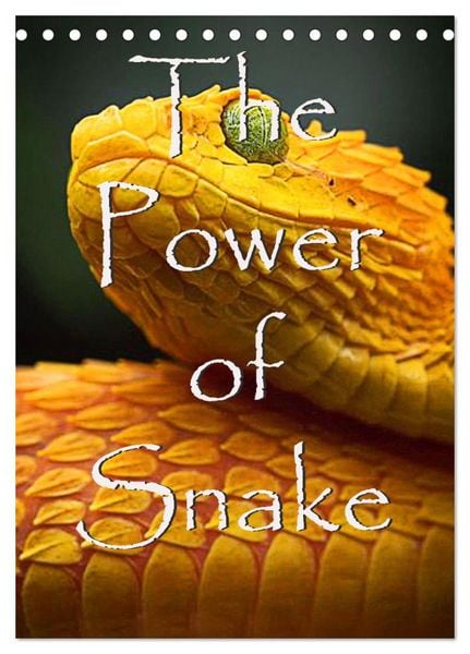 Produktbild: The Power Of Snake (Tischkalender 2026 DIN A5 hoch), CALVENDO Monatskalender