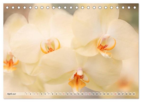 Produktbild: Farbenfroher Bl&uuml;tentraum (Tischkalender 2027 DIN A5 quer), CALVENDO Monatskalender