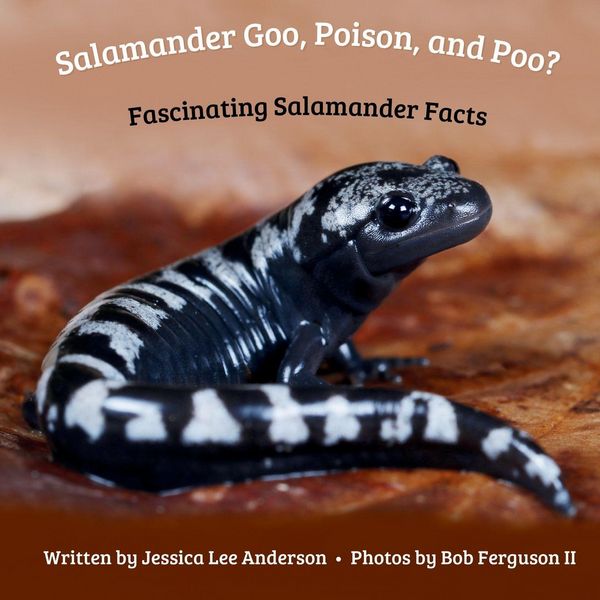 Produktbild: Salamander Goo, Poison, and Poo? Fascinating Salamander Facts