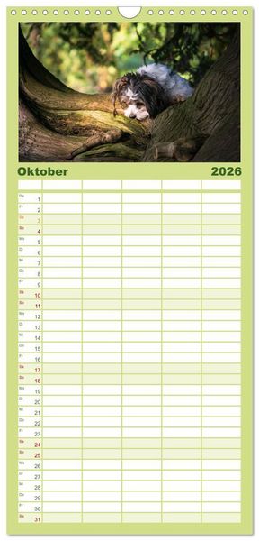 Produktbild: Familienplaner 2026 - Spa&szlig; mit Havanesern mit 5 Spalten (Wandkalender, 21 x 45 cm) CALVENDO