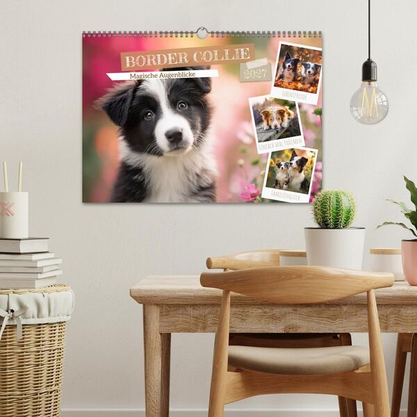 Produktbild: Border Collie - Magische Augenblicke (Wandkalender 2027 DIN A3 quer), CALVENDO Monatskalender