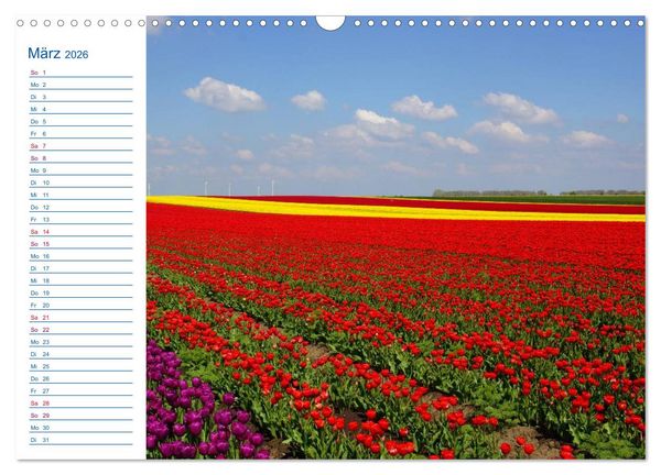 Produktbild: Magdeburg und Umgebung 2026 (Wandkalender 2026 DIN A3 quer), CALVENDO Monatskalender