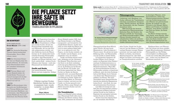 Big Ideas. Das Biologie-Buch
