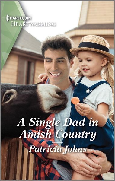 Produktbild: A Single Dad in Amish Country