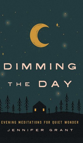 Produktbild: Dimming the Day
