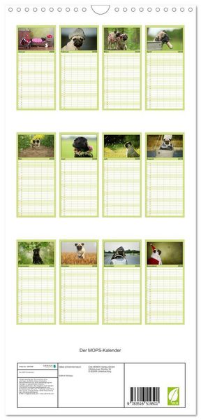 Produktbild: Familienplaner 2026 - Der MOPS-Kalender mit 5 Spalten (Wandkalender, 21 x 45 cm) CALVENDO