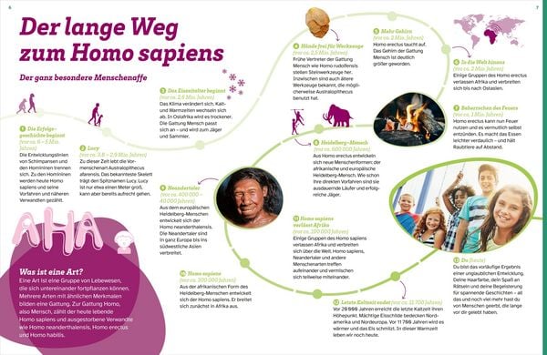 Produktbild: WAS IST WAS Der Mensch. Von der Steinzeit bis zu dir