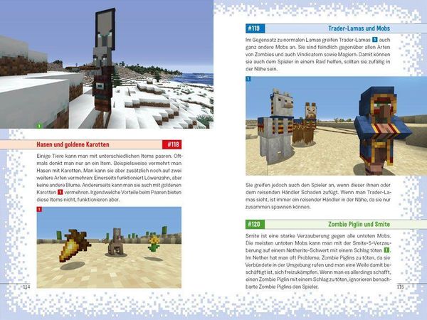 Produktbild: SparkofPhoenix: 201 Dinge in Minecraft, die du noch nicht wusstest
