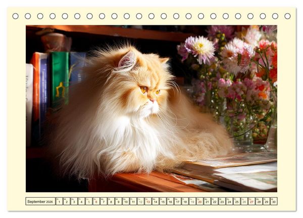 Produktbild: Perserkatzen. Zauberhaft, sanft, anh&auml;nglich und wundersch&ouml;n (Tischkalender 2026 DIN A5 quer), CALVENDO Monatskalender