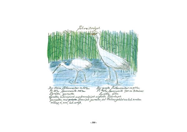 Produktbild: Das Vogel-Album. 1950