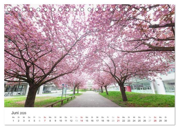 Produktbild: Heidelberg im Fokus (Tischkalender 2026 DIN A5 quer), CALVENDO Monatskalender