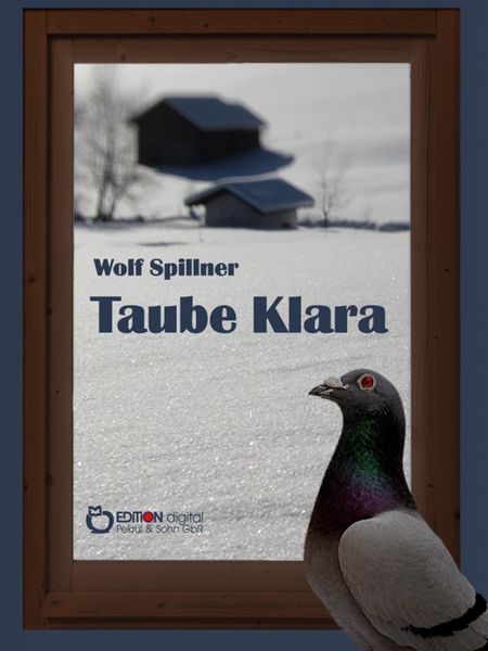 Produktbild: Taube Klara oder Zuf&auml;lle gibt es nicht