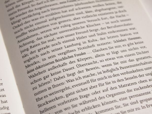 Produktbild: Schlafende Hunde