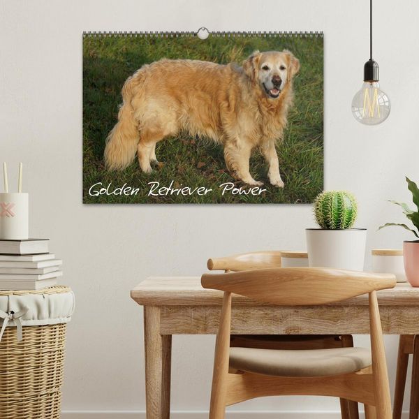 Produktbild: Golden Retriever Power (Wandkalender 2026 DIN A3 quer), CALVENDO Monatskalender