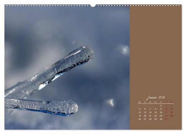 Produktbild: Bauernregeln f&uuml;r das ganze Jahr (hochwertiger Premium Wandkalender 2026 DIN A2 quer), Kunstdruck in Hochglanz