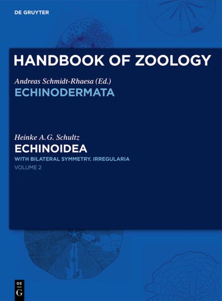 Produktbild: Echinoidea