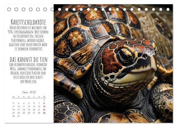 Produktbild: Wir sind die Letzten hier! Wir sterben aus. Wie du uns helfen kannst! (Tischkalender 2026 DIN A5 quer), CALVENDO Monatskalender