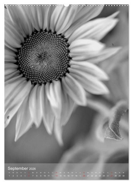 Produktbild: Monochrome Bl&uuml;ten - In Schwarz-Wei&szlig; Bildern durch das Jahr (Wandkalender 2026 DIN A2 hoch), CALVENDO Monatskalender