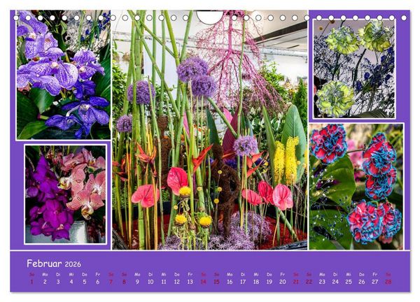 Produktbild: Erfurt erbl&uuml;ht (Wandkalender 2026 DIN A4 quer), CALVENDO Monatskalender
