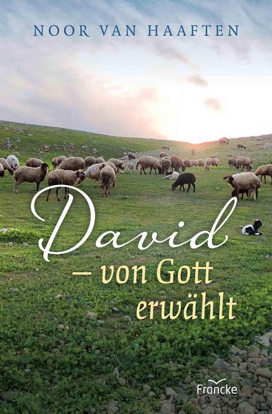 Produktbild: David - von Gott erw&auml;hlt