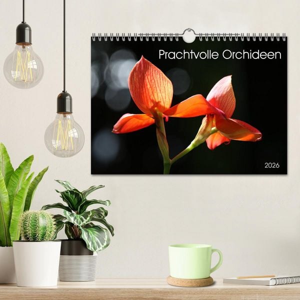 Produktbild: Prachtvolle Orchideen (Wandkalender 2026 DIN A4 quer), CALVENDO Monatskalender
