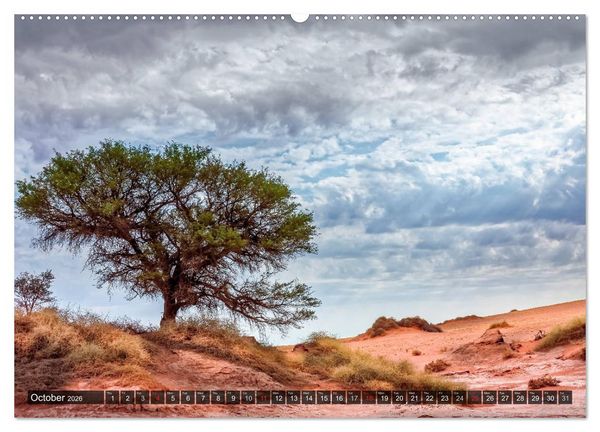 Produktbild: Namibia - Colours and Light (High Quality Premium Wall Calendar 2026 DIN A2 landscape),CALVENDO 12 Month Wall Calendar