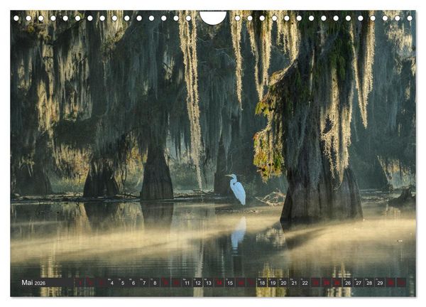 Produktbild: Natur Paradies Mississippi Delta (Wandkalender 2026 DIN A4 quer), CALVENDO Monatskalender