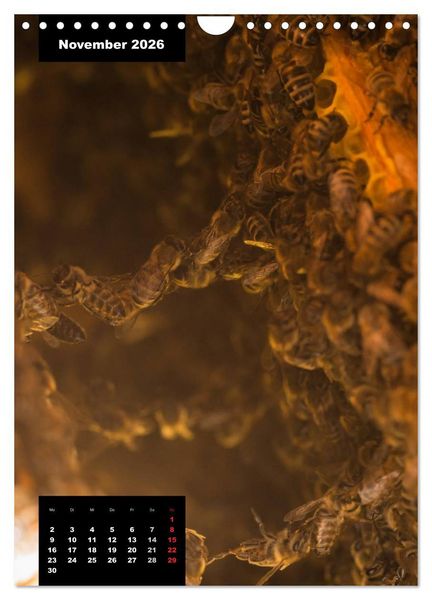 Produktbild: Bienen in ihrem geheimen Reich (Wandkalender 2026 DIN A4 hoch), CALVENDO Monatskalender