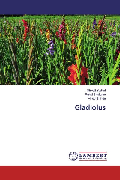 Produktbild: Gladiolus
