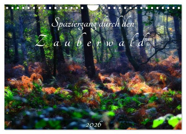 Produktbild: Spaziergang durch den Zauberwald (Wandkalender 2026 DIN A4 quer), CALVENDO Monatskalender