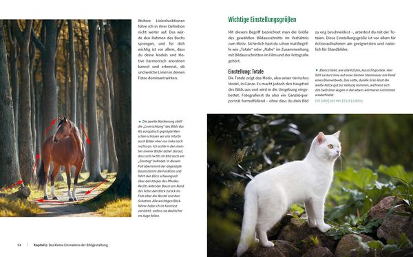 Haustiere perfekt fotografieren