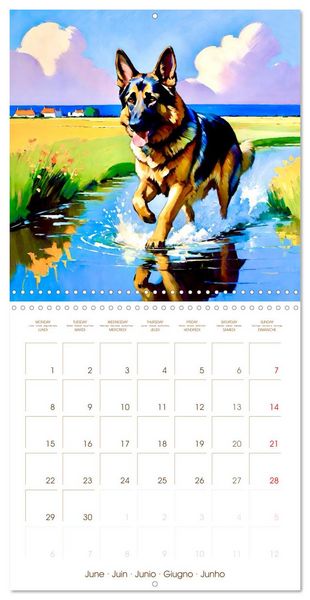 Produktbild: German Shepherd. The majestic character of a noble breed (Wall Calendar 2026 12 &times; 12 Inch) CALVENDO 12 Month Wall Calendar