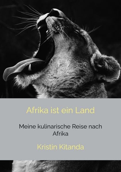 Produktbild: Afrika ist ein Land