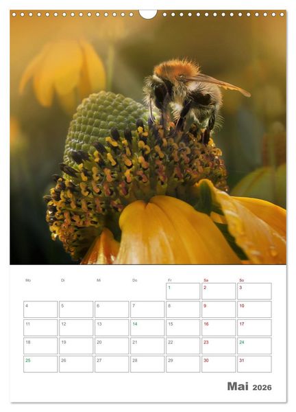 Produktbild: Helden in der Natur (Wandkalender 2026 DIN A3 hoch), CALVENDO Monatskalender