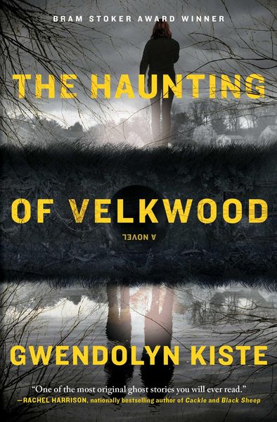 Produktbild: The Haunting of Velkwood