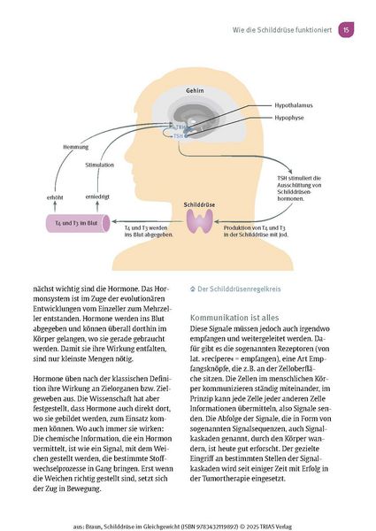 Produktbild: Schilddr&uuml;se im Gleichgewicht