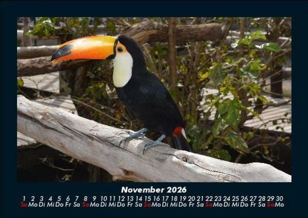 Produktbild: Vogelparadies 2026 Fotokalender DIN A5