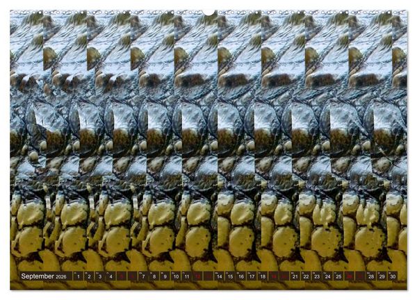 Produktbild: Magische Bilder - fantastische Stereogramme (hochwertiger Premium Wandkalender 2026 DIN A2 quer), Kunstdruck in Hochglanz