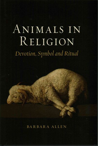 Produktbild: Allen, B: Animals in Religion