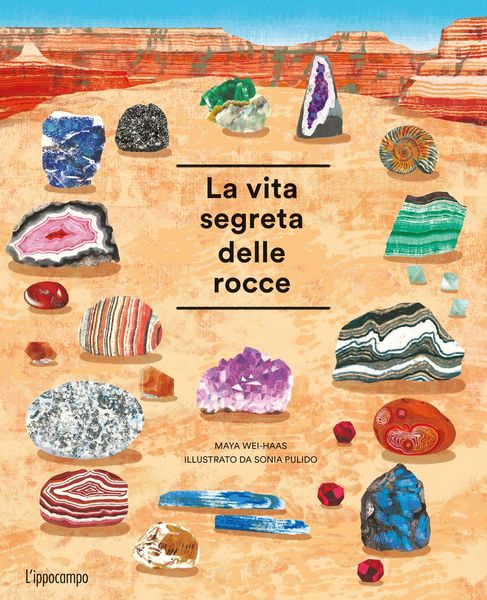 Produktbild: La vita segreta delle rocce. Album scoperte