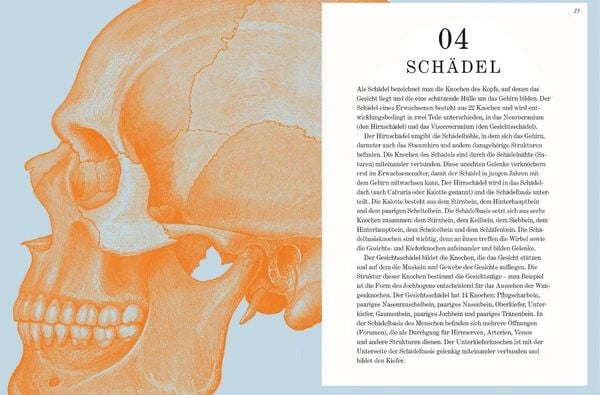 Produktbild: GRAY&rsquo;S ANATOMIE R&Auml;TSELBUCH