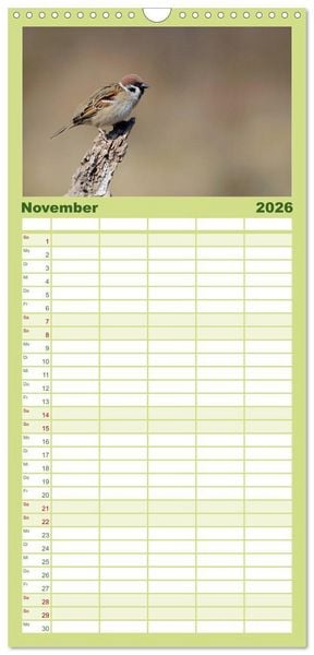 Produktbild: Familienplaner 2026 - V&ouml;gel mit 5 Spalten (Wandkalender, 21 x 45 cm) CALVENDO