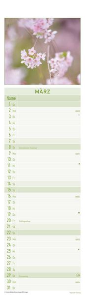 Produktbild: Streifenplaner Mini Zen 2026 - Streifen-Kalender 9,5x33 cm - Harmonie und Achtsamkeit - Wandplaner - Küchenkalender - Alpha Edition