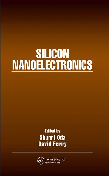 Produktbild: Silicon Nanoelectronics