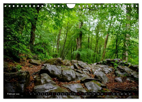 Produktbild: Wege des einfachen Gl&uuml;cks - Spazierg&auml;nge im Wald (Wandkalender 2026 DIN A4 quer), CALVENDO Monatskalender