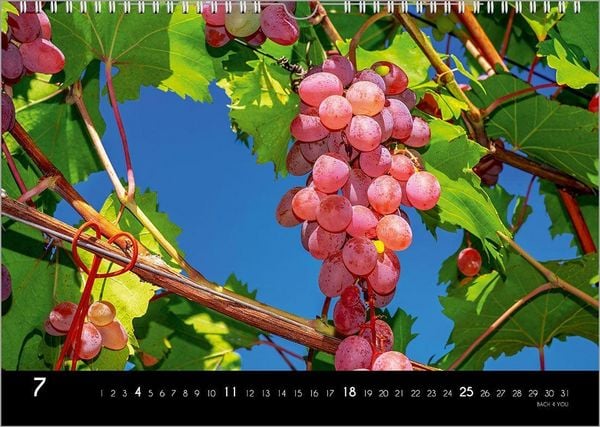 Produktbild: Der Weinkalender 2027, DIN A3 &ndash; ein Fotokalender