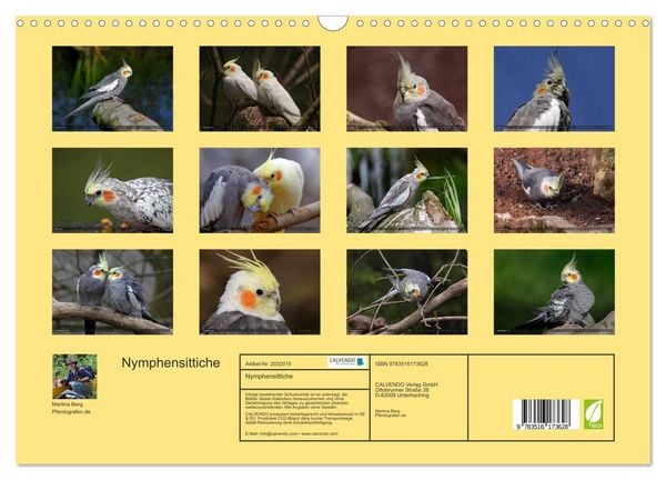 Produktbild: Nymphensittiche (Wandkalender 2026 DIN A3 quer), CALVENDO Monatskalender