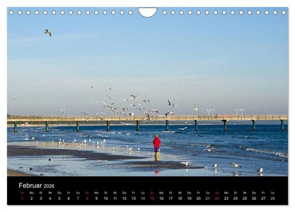 Produktbild: Meer und K&uuml;ste (Wandkalender 2026 DIN A4 quer), CALVENDO Monatskalender